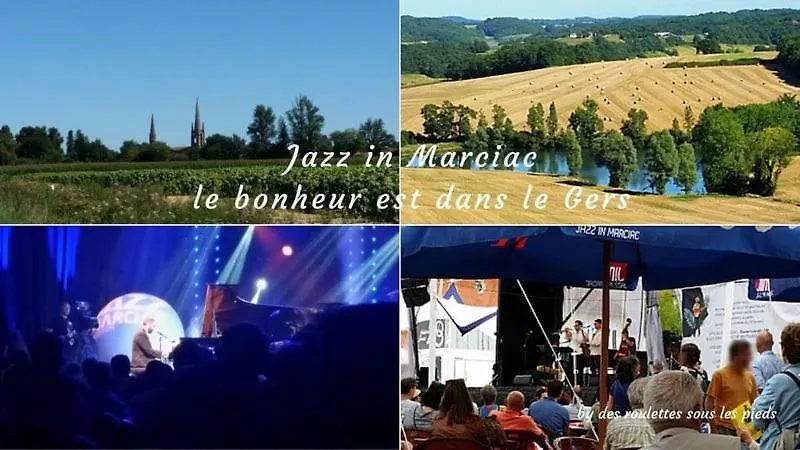 Chez L'Amiral Alain Appartement Marciac
